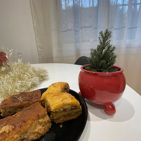 Krista 公寓 地拉那